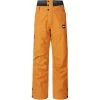 Picture Pic Object Pants Men camel